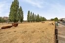 Properties for sale in Fitzalan Road - N3 3PD view11