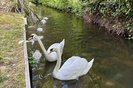Properties for sale in Uxbridge Road - TW12 1BD view17