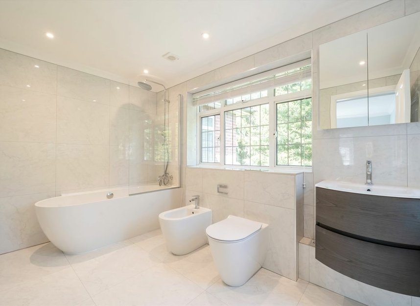 Properties let in Mount Avenue - W5 1PN view7