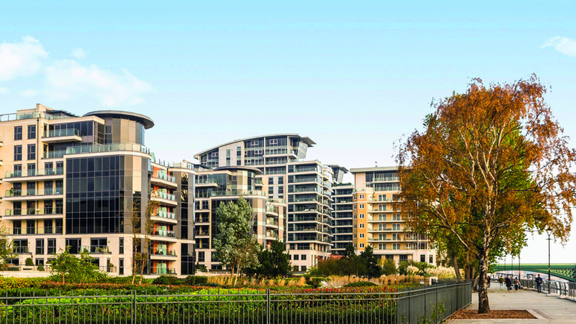 Chard to Dexters Parsons Green